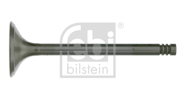 Intake Valve